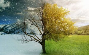climatic testing