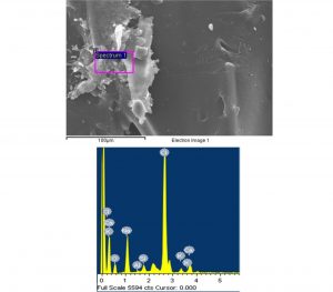 dispersive X-ray spectroscopy