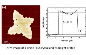 atomic force microscopy
