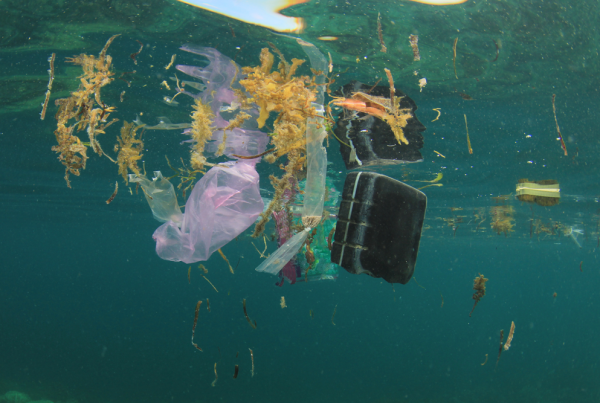 plastic in the ocean