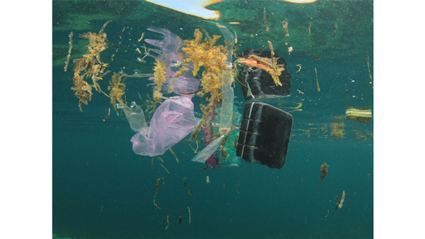 plastic in the ocean