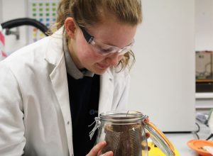 odour testing