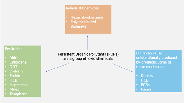 persistent organic pollutants