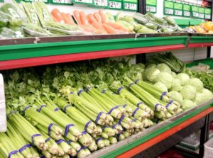 Use of Plastic – What is it good for?
