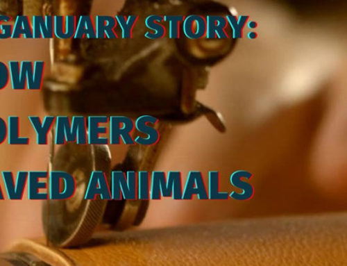 Veganuary Story: How Polymers saved Animals