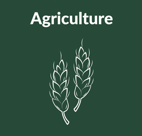 biodegradability-agriculture biodegradables in agriculture