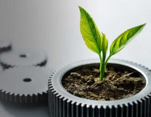 sustainability
