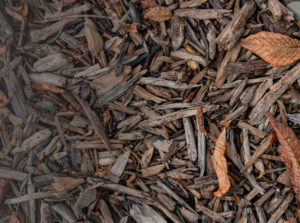 home compost environment for biodegradable plastic testing