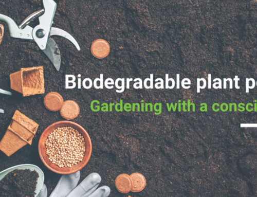 Biodegradable Plant Pots – Gardening with a Conscious