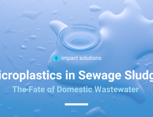 Microplastics in Sewage Sludge – The Fate of Domestic Wastewater