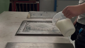sample preparation