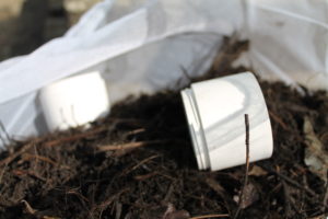 beauty and personal care packaging biodegradation
