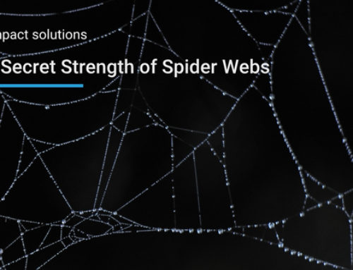The Secret Strength of Spider Webs