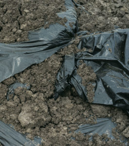 Biodegradability Standard Testing