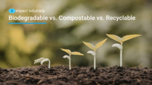 biodegradable vs compostable vs recyclable