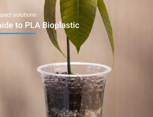 PLA Bioplastic: A Sustainable Alternative for Modern Manufacturing