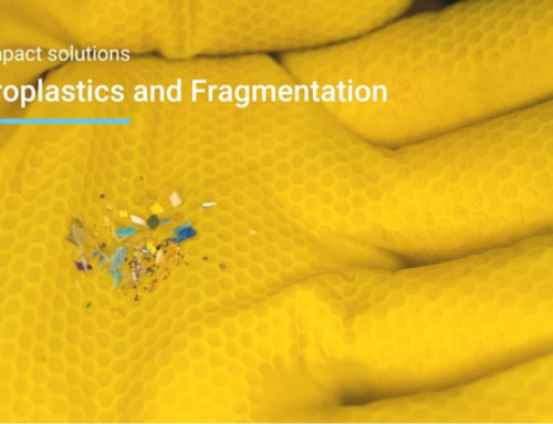 Microplastics and Fragmentation: The Environmental Risk Behind Misleading Biodegradability Claims