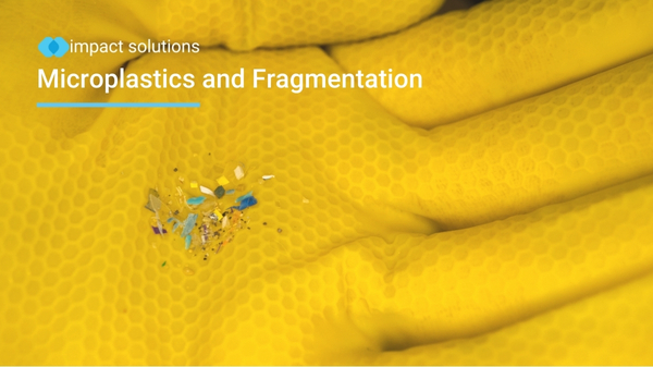 Microplastics and Plastic Fragmentation