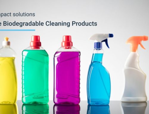 Inside Biodegradable Cleaning Products: Ingredients That Matter