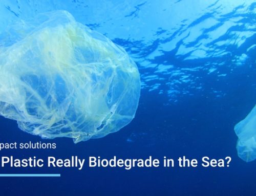 Can Plastic Really Biodegrade in the Sea? What ISO 23977 Reveals