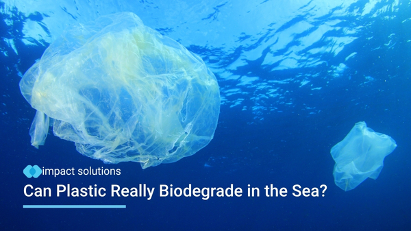 biodegradable plastics in seawater