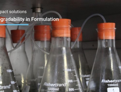 Why Biodegradable Ingredients Don’t Guarantee a Readily Biodegradable Formulation